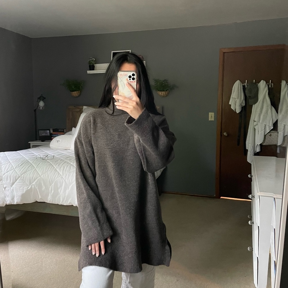 Zara Brown Turtleneck Sweater